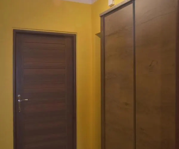 Joanna سفينويتشي